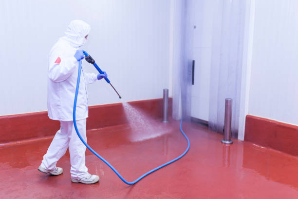 Best Paint Preparation  in Saukville, WI